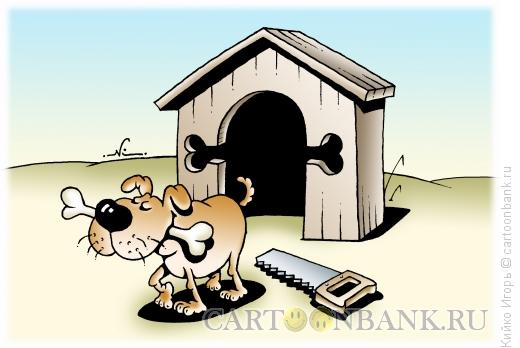 Карикатура: Пес и кость, Кийко Игорь
