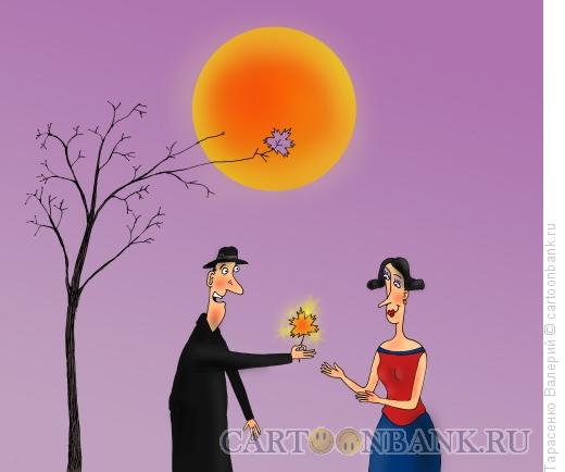 Карикатура: Солнечный лист, Тарасенко Валерий