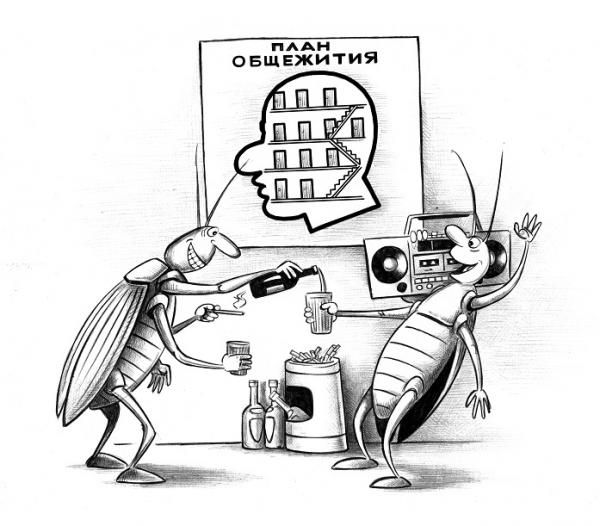 Карикатура: План общежития, Сергей Корсун