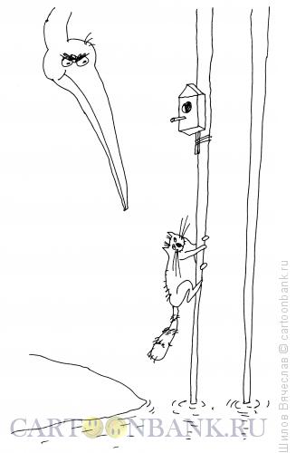 Карикатура: Кот и птица, Шилов Вячеслав