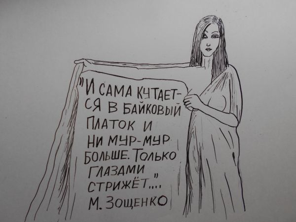 Карикатура: Женщина с покрывалом 4, Петров Александр