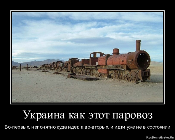 Мем: Наш паровоз, вперед лети!, Максим Камерер