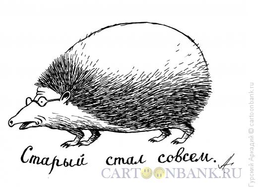Карикатура: лысый ёжик, Гурский Аркадий