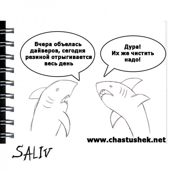 Карикатура: Акулы, chastushek