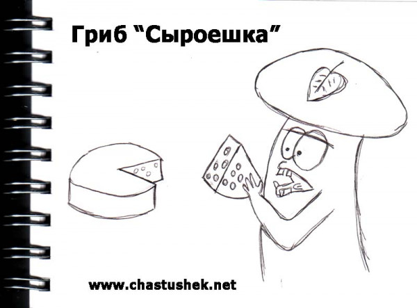 Карикатура: Гриб-сыроешька, chastushek