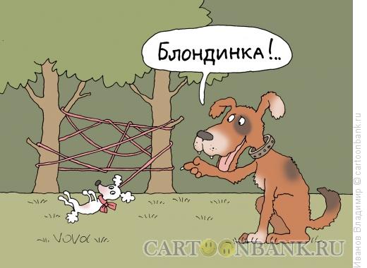 Карикатура: Собака блондинка, Иванов Владимир