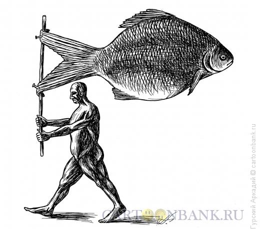 Карикатура: рыба-флаг, Гурский Аркадий