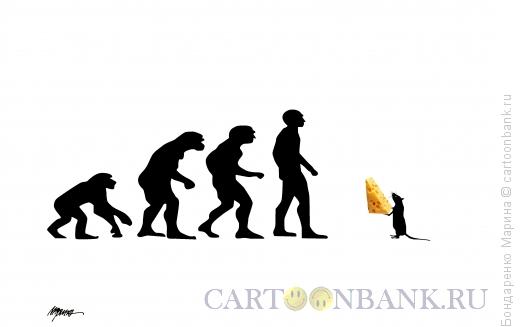 Карикатура: Эволюция и год Мыши, Бондаренко Марина