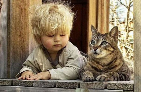 Мем: Детство — это когда твой кот старше тебя., Дед Макар