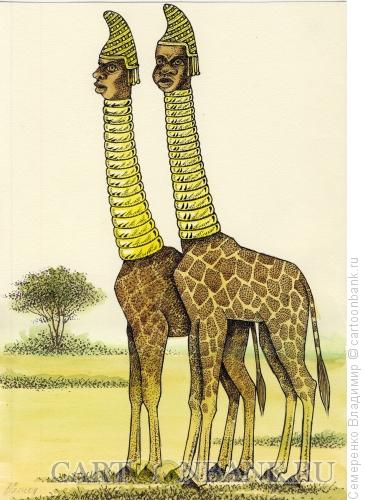 Карикатура: Женщины-жирафы, Семеренко Владимир