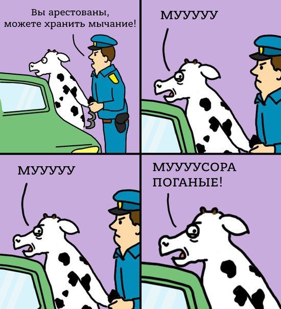 Карикатура: В Челябинской области арестовали корову