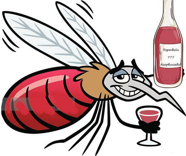 Мем: Кровью питаются только злые комарихи.  А папы-комары кровь не пьют!, Евгений Буратино