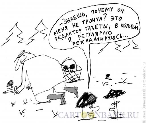Карикатура: Умный гриб, Шилов Вячеслав
