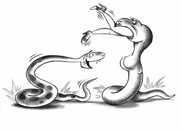 Мем: Те, кто любит худеньких, помните: змеи толстыми не бывают. Только, когда сожрут кого-нибудь упитанного..., Evgeny Buratino