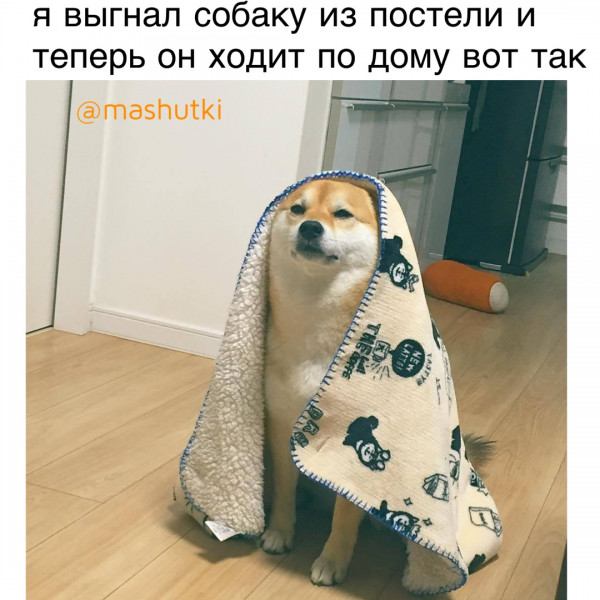 Мем: Выгнал из постели, mashutki