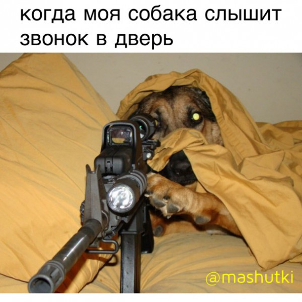 Мем: Снайпер, mashutki