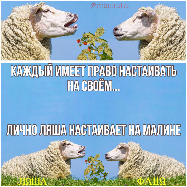 Мем: Калинка-малинка, mashutki