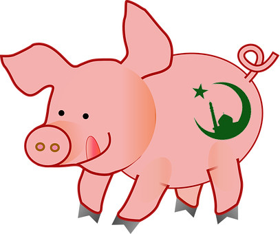 Карикатура: Свинья - мусульманка, Альпинский