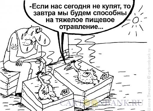 Карикатура: Курицы, Шилов Вячеслав