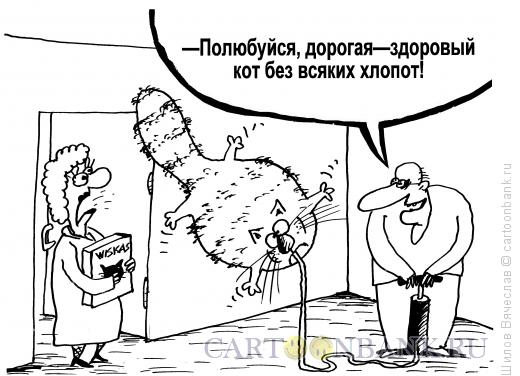 Карикатура: Здоровый кот, Шилов Вячеслав