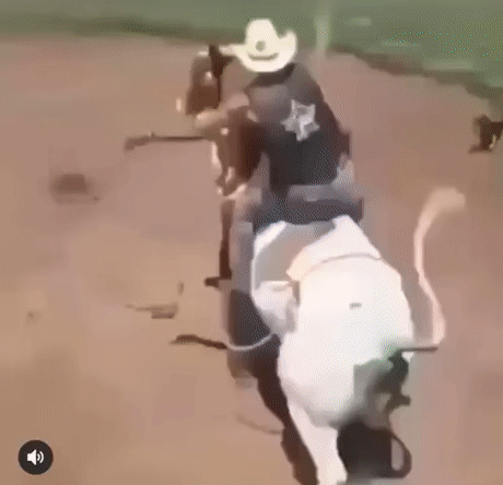Мем: Ковбой (Cowboy) - буквально, RRaf