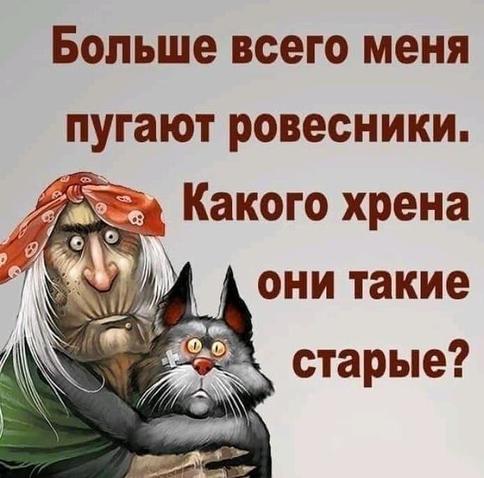 Мем: Ровесники, Кот Отморозкин