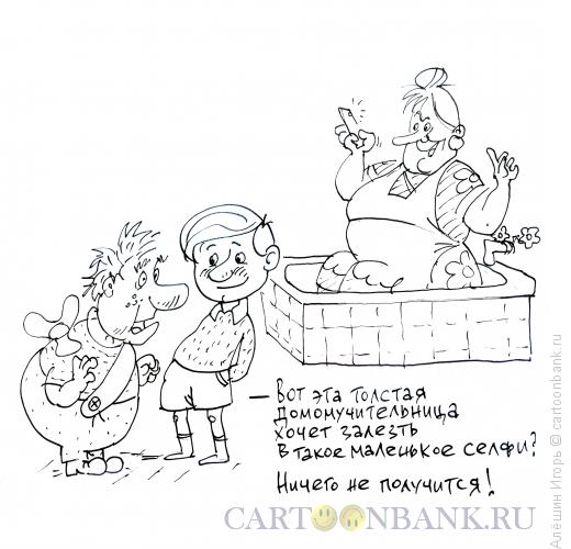 Карикатура: Фрекен Бок и селфи, Алёшин Игорь