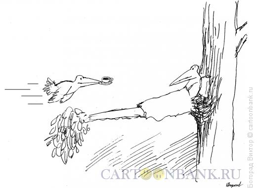 Карикатура: Утро по- птичьи, Богорад Виктор