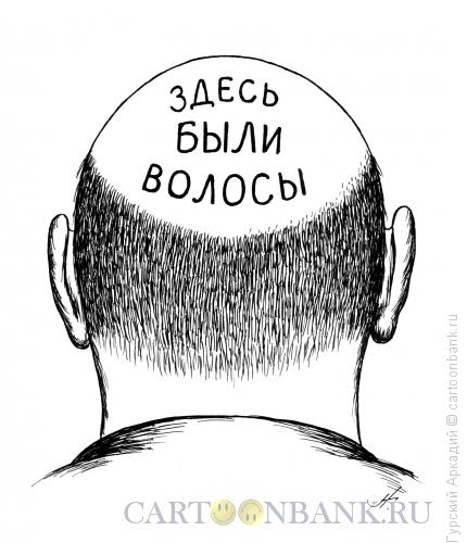 Карикатура: лысина с надписью, Гурский Аркадий