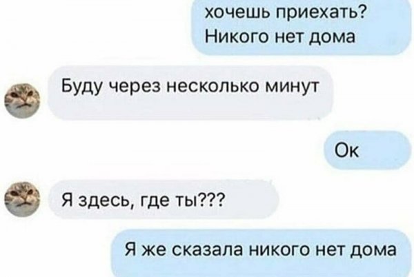 Мем: Динамо, Коза Зинка