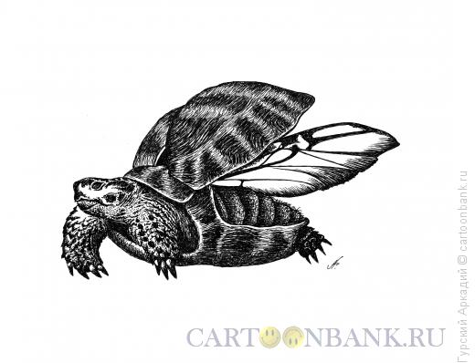 Карикатура: черепаха, Гурский Аркадий