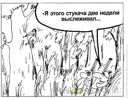 Карикатура: Дятел-стукач, Шилов Вячеслав