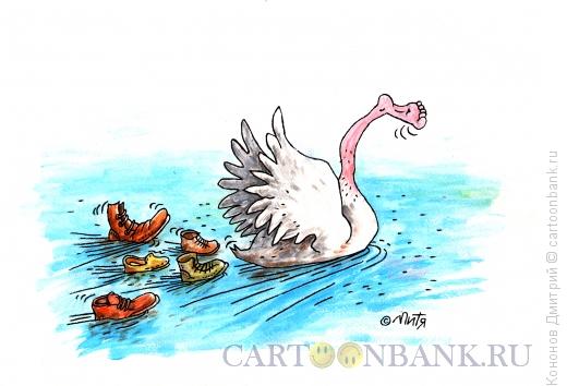Карикатура: лебедь, Кононов Дмитрий