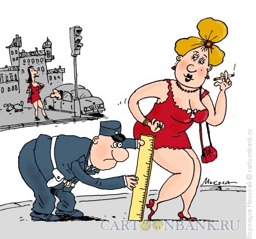 Карикатура: Полиция нравов, Воронцов Николай