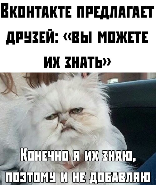 Мем, Колобок88