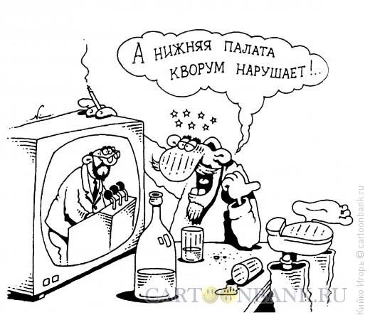 Карикатура: Нарушение кворума, Кийко Игорь