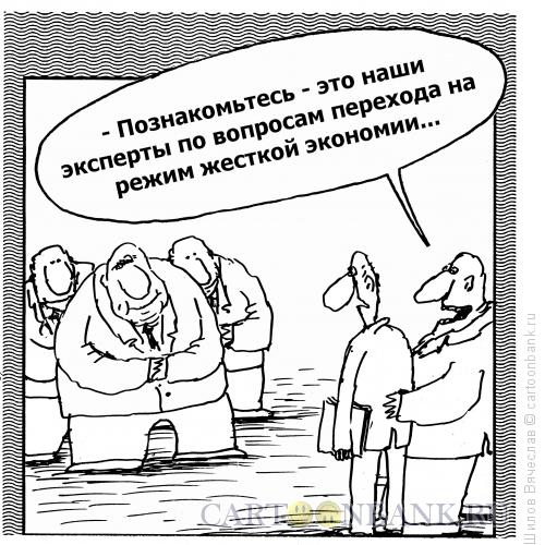 Карикатура: Эксперты, Шилов Вячеслав