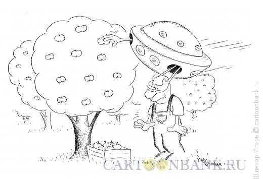 Карикатура: Воры в саду, Шинкар Игорь