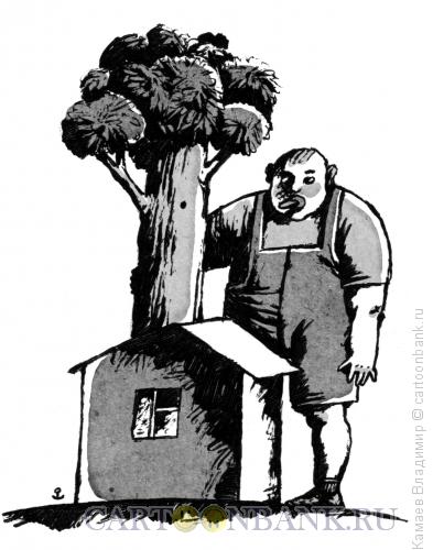 Карикатура: Сын, дом, дерево, Камаев Владимир