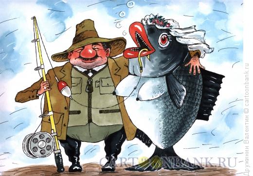 Карикатура: С рыбой под венец, Дружинин Валентин