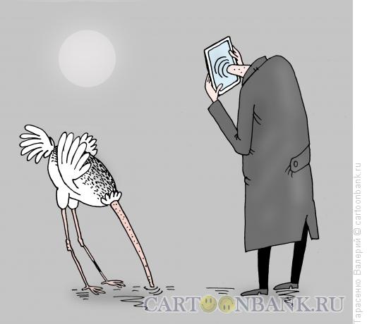 Карикатура: Дорогой айфон, Тарасенко Валерий