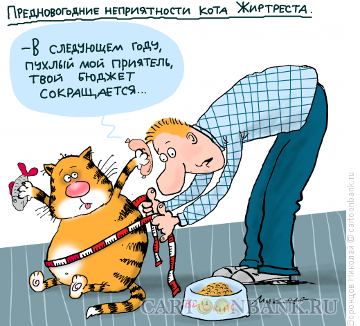 Карикатура: Бюджет сокращается, Воронцов Николай