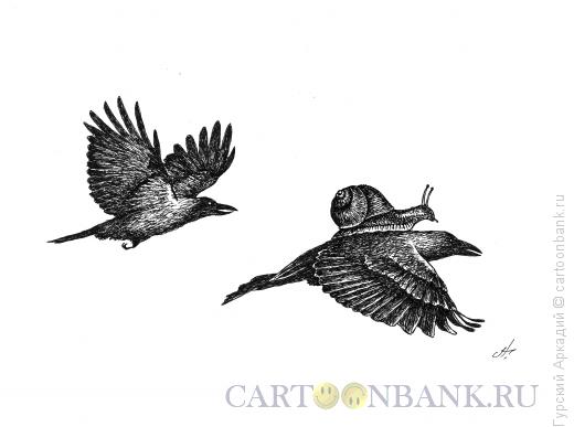 Карикатура: улитка на птице, Гурский Аркадий