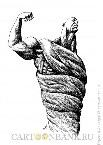 Карикатура: мускулатура, Гурский Аркадий