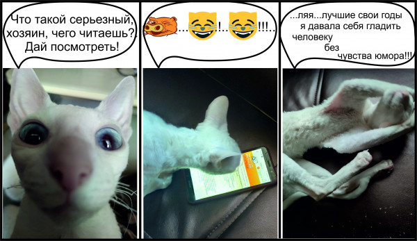 Мем: К юбилею анекдот.ру, Anvla_bogosla