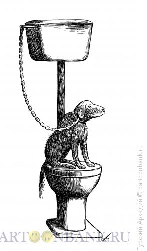 Карикатура: собака на унитазе, Гурский Аркадий