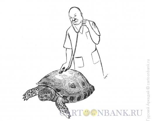 Карикатура: доктор и черепаха, Гурский Аркадий