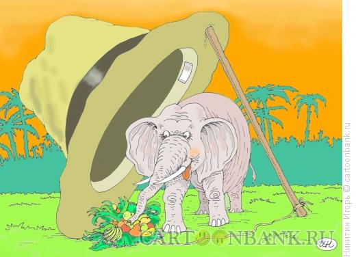Карикатура: слон в шляпе, Никитин Игорь