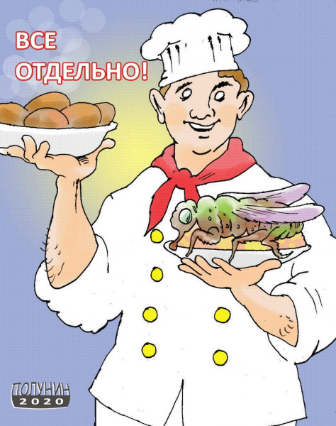 Карикатура: КОТЛЕТЫ И МУХИ, АЛЕКСАНДР ПОЛУНИН