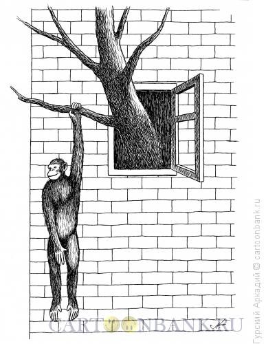 Карикатура: обезьяна в окне, Гурский Аркадий